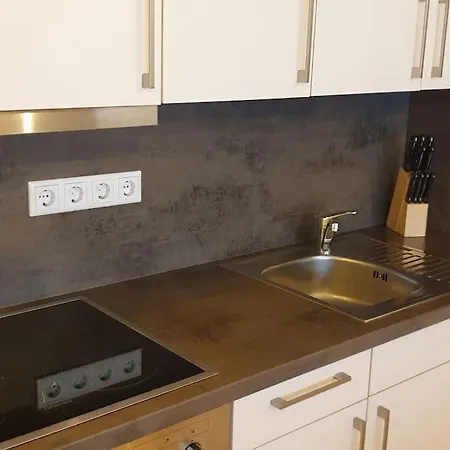 Luxurioese 3-zi-wohnung Im Zentrum, Grosser Balkon Daire Dresden